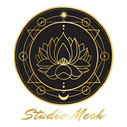 Studio Mesh